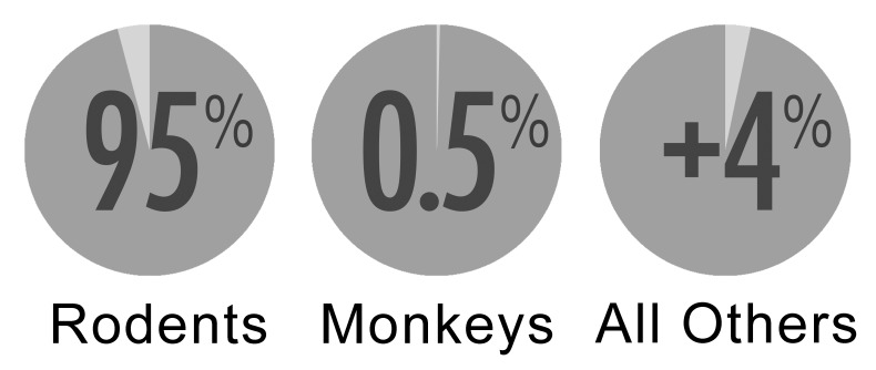 Refine Research with Non-Human Primates